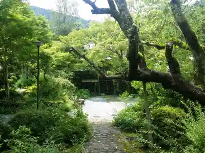 神藏寺のその他建物