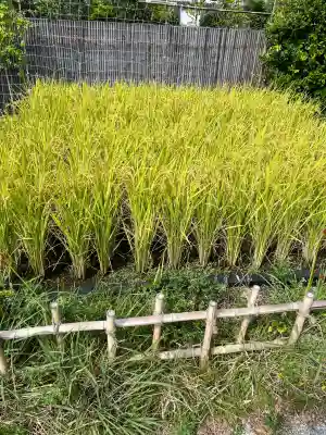 鉄道神社(福岡県)