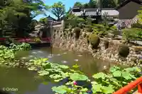 長弓寺(奈良県)