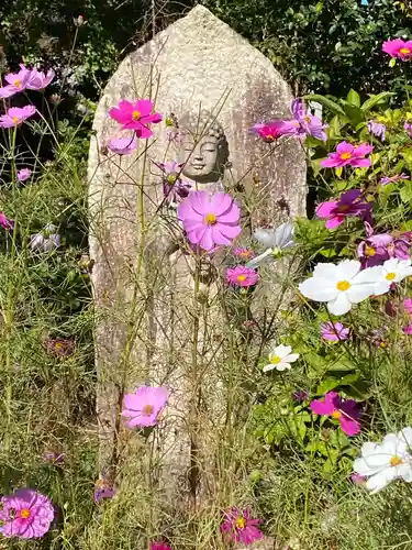 般若寺 ❁﻿コスモス寺❁(奈良県)