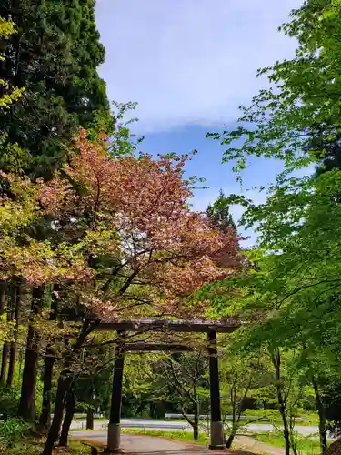 土津神社｜こどもと出世の神さまの鳥居