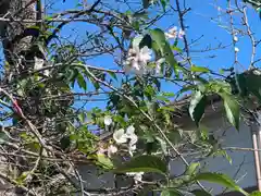 加佐美神社(岐阜県)