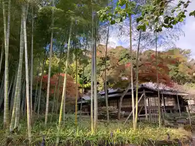 英勝寺(神奈川県)