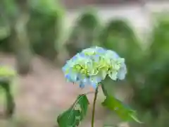 仁科神社(長野県)