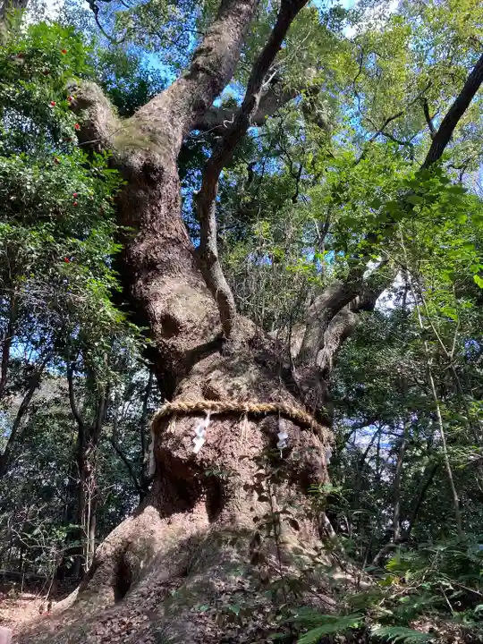 熱田神宮(愛知県)