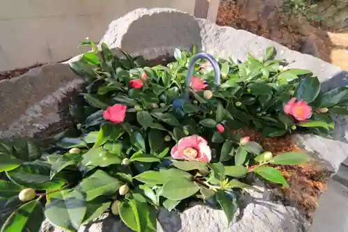 愛宕神社の手水舎