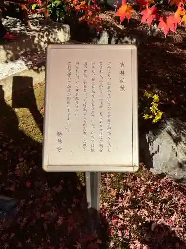 勝林寺(京都府)