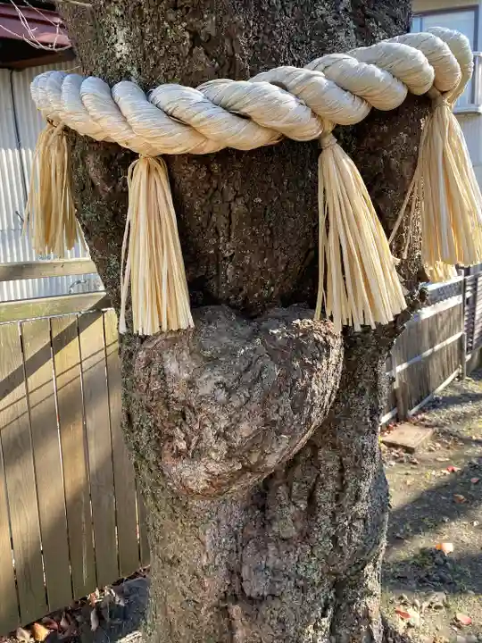小室浅間神社(山梨県)