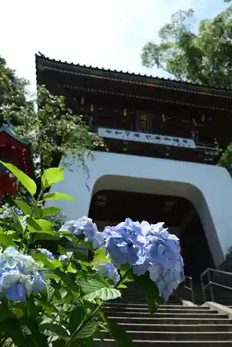 江島神社(神奈川県)