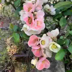 豊景神社の自然