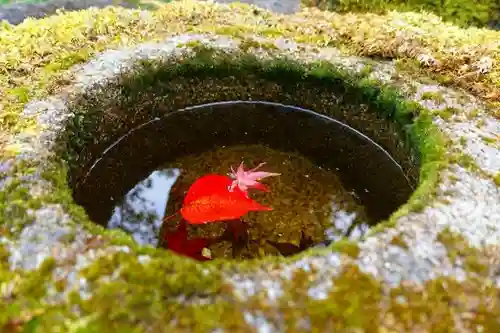 興福寺のその他建物
