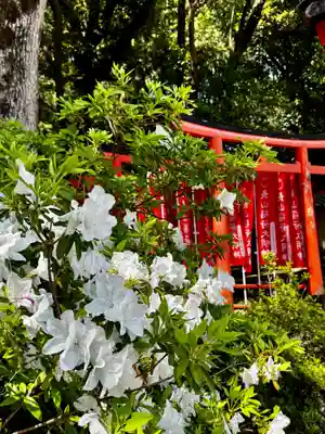 長山稲荷社（橿原神宮末社）(奈良県)