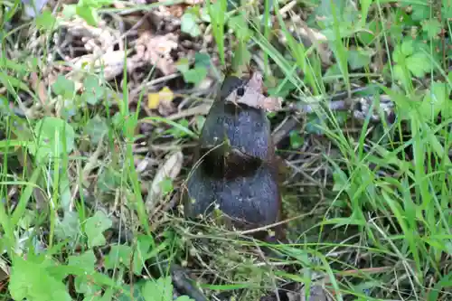 三渡神社の自然