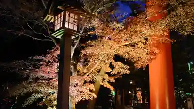 冠稲荷神社(群馬県)