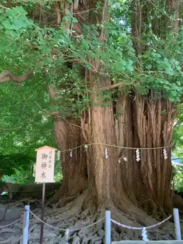 山寺日枝神社のその他建物