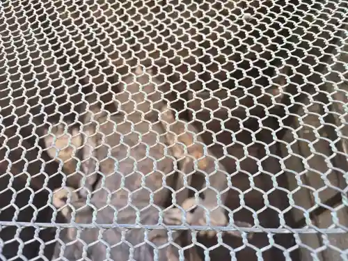 長谷寺(奈良県)