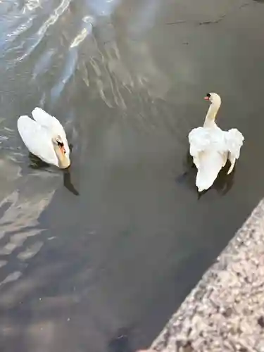 八大荒神社(島根県)