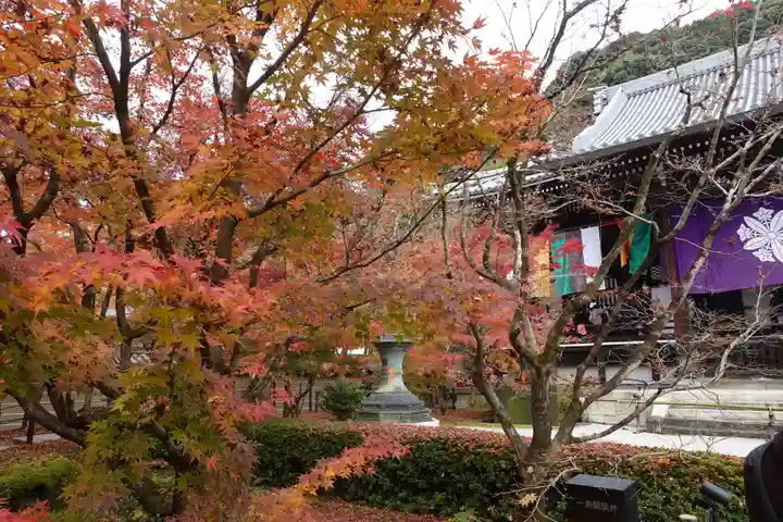 禅林寺(永観堂)(京都府)