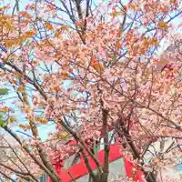 彌彦神社 (伊夜日子神社)の自然