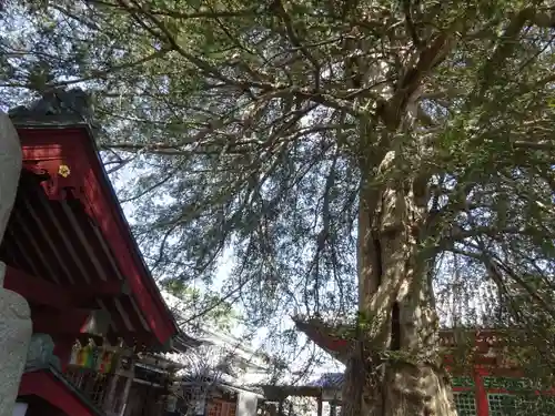 善養寺（善養密寺）の自然