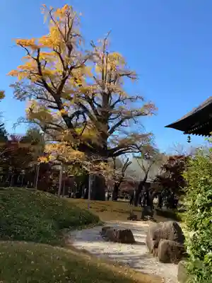 淨眞寺(東京都)