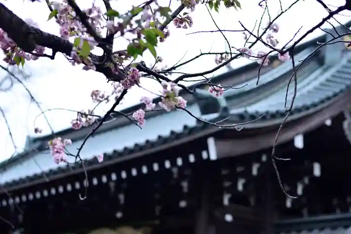 三嶋大社の自然