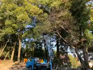 川田八幡神社の自然(2020年12月10日(木) 16時31分26秒投稿)