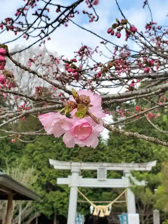 滑川神社 - 仕事と子どもの守り神の自然