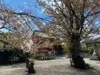 山城ゑびす神社のその他建物