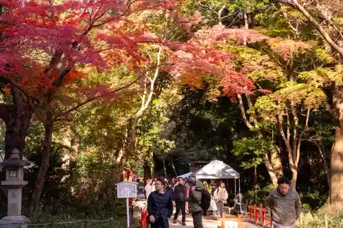 賀茂御祖神社（下鴨神社）(京都府)