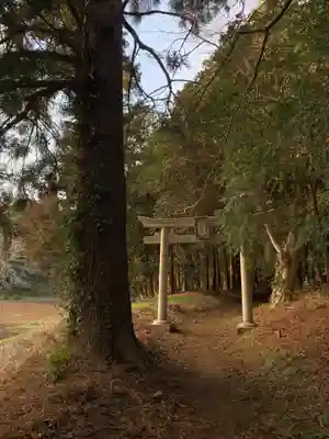 駒形神社(千葉県)