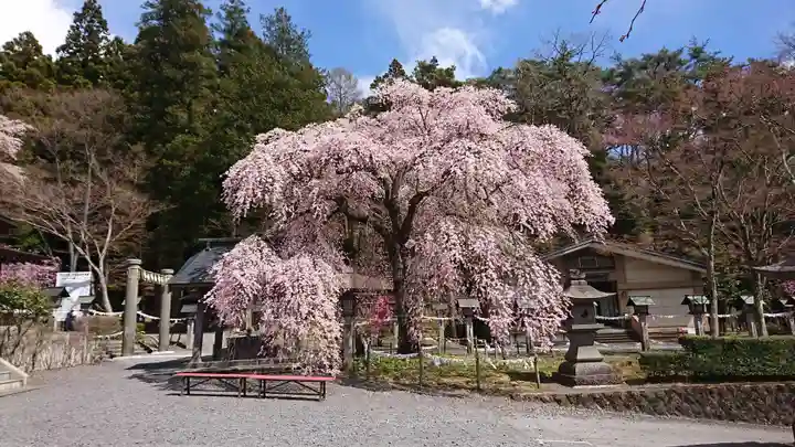 南湖神社の自然