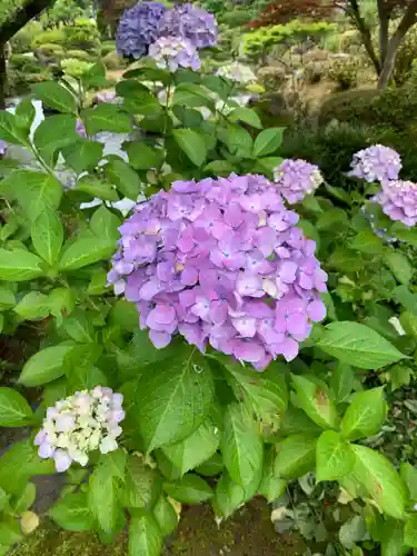 三室戸寺の自然