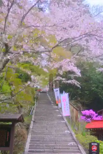 金櫻神社(山梨県)