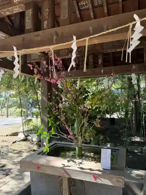 赤坂氷川神社(東京都)
