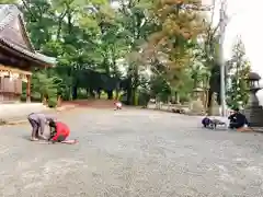 川田八幡神社の建物その他