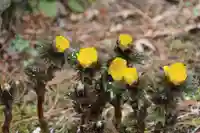 御嶽山神社の庭園