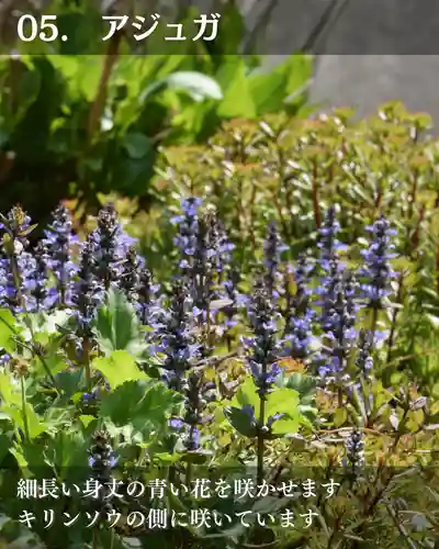 宝光寺(北海道)