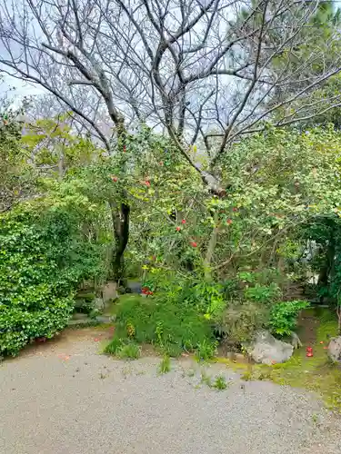 顕常寺(大阪府)