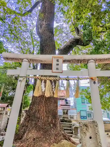 綿神社の鳥居
