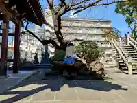 正法寺の手水舎