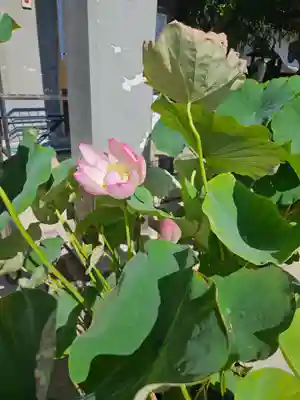 善光寺大本願(長野県)