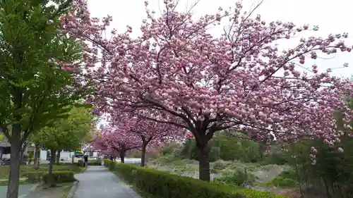 滑川神社 - 仕事と子どもの守り神の自然