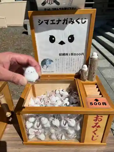 帯廣神社のおみくじ