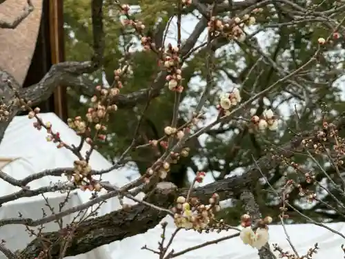 太宰府天満宮の{uncategorized: "未分類", other: "その他", undefined: "問題あり", building: "その他建物", grave: "お墓", sacred_gate: "鳥居", guardian: "狛犬", statue: "像", buddha: "仏像", history: "歴史", nature: "自然", garden: "庭園", animal: "動物", pagoda: "塔", temizu: "手水舎", mountain_gate: "山門・神門", sanctuary: "本殿・本堂", subordinate: "末社・摂社", art: "芸術", scenery: "景色", jizo: "地蔵", ema: "絵馬", goshuin: "御朱印", omikuji: "おみくじ", items: "授与品その他", amulet: "お守り", goshuincho: "御朱印帳", eats: "食事", festival: "お祭り", votive_dance: "神楽", shichigosan: "七五三参", wedding: "結婚式", experience: "体験その他", initially: "初詣", around: "周辺", anti_infection: "感染症対策"}