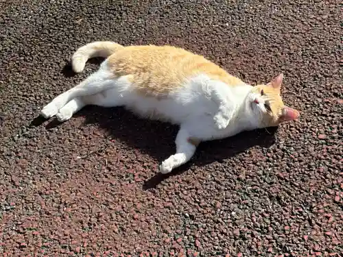 茂林寺(群馬県)