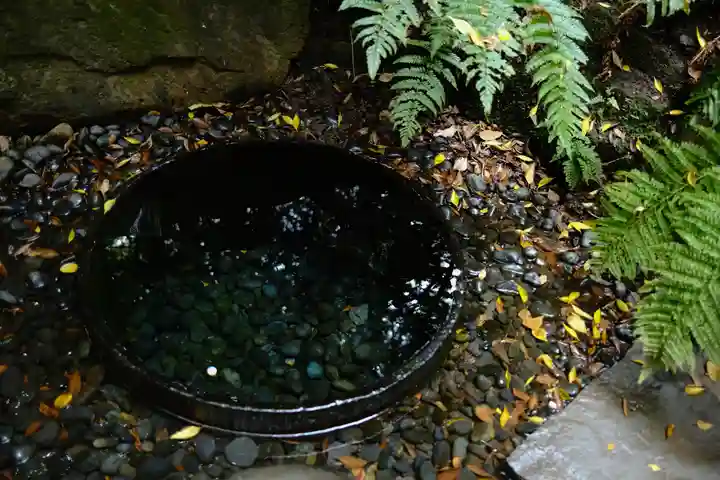 明治神宮(東京都)