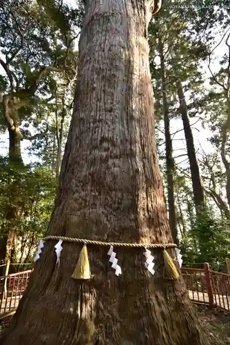麻賀多神社の自然