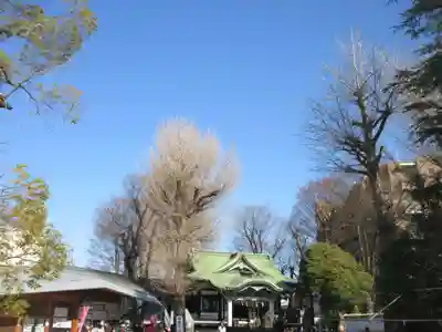 亀有香取神社(東京都)