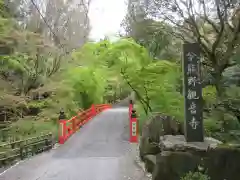 今熊野観音寺(京都府)